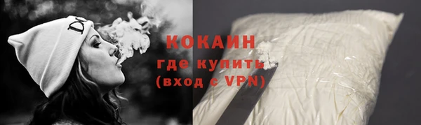 индика Михайлов