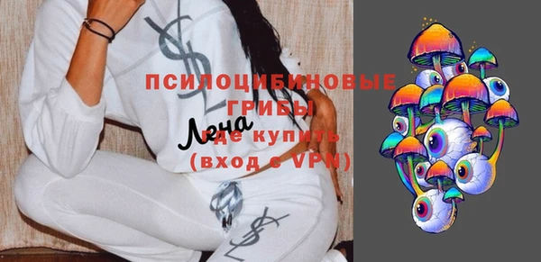 индика Михайлов